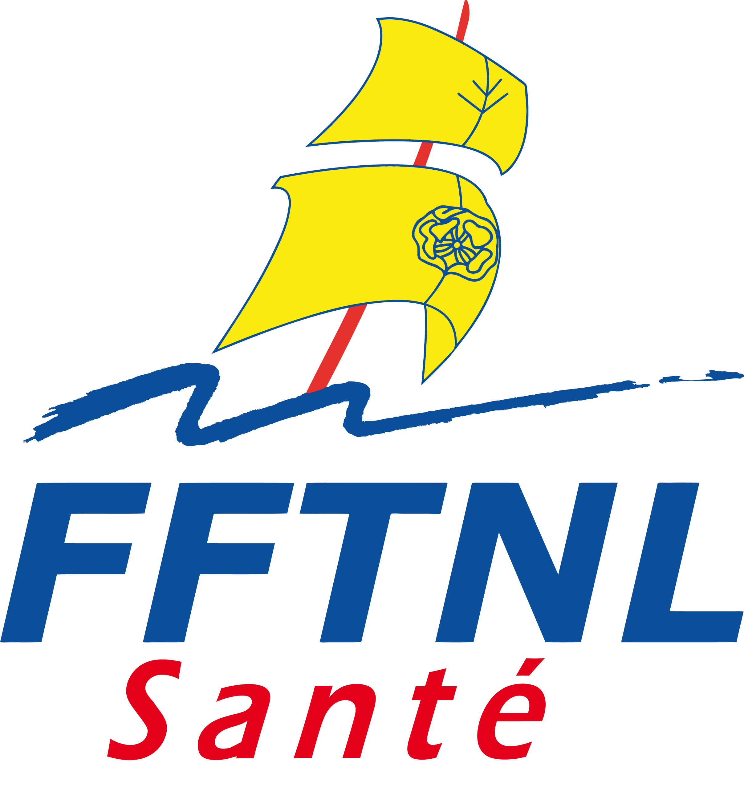 logo reseau sante fftnl
