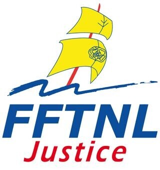 logo reseau sante fftnl